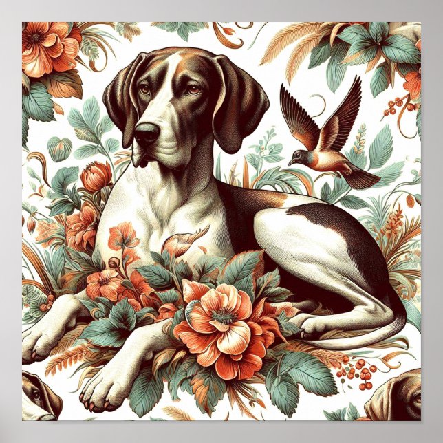 Affiche Braque vintage Français Illustration (Devant)