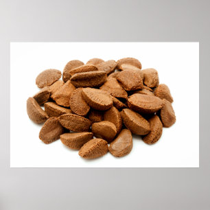 Affiche Brazil nut seeds