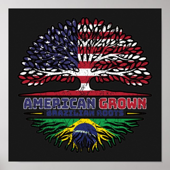 Affiche Brazilian Brazil US American USA United States (Devant)