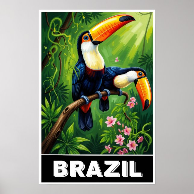 Affiche Brésil (Devant)