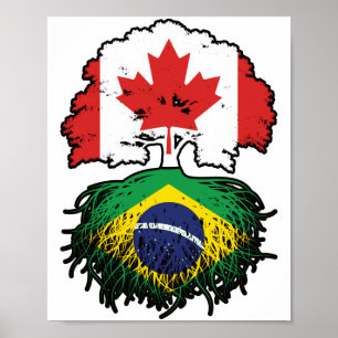 Affiche Brésil Brésil Brésil Canada drapeau des racines de