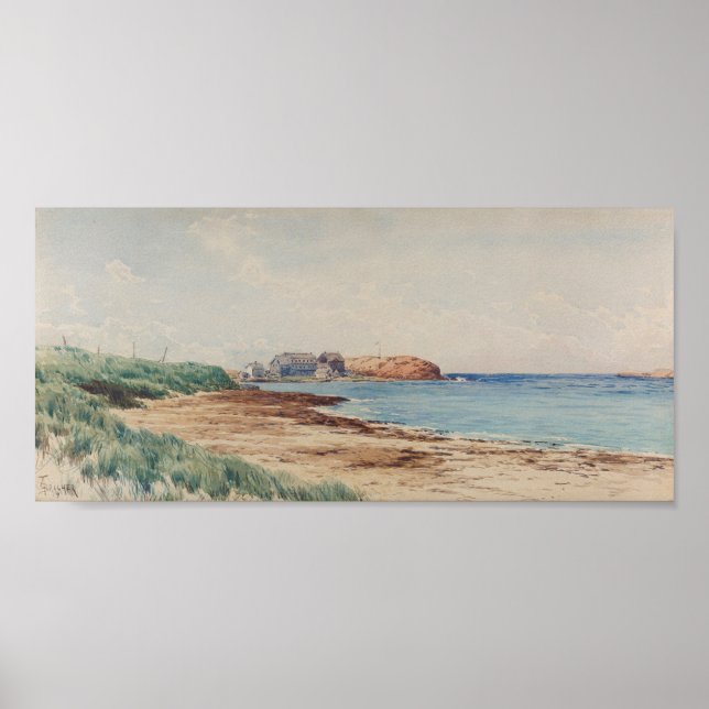 Affiche Bricher sur la scène côtière (Devant)