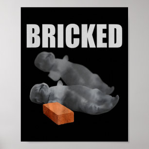 Affiche Brick de chats drôle Knoking out Meme Silly Cats S