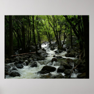 Affiche Bridalveil Creek dans le parc national de Yosemite