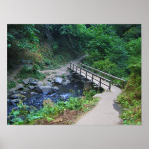 Affiche Bridge at Latourell Falls, Oregon