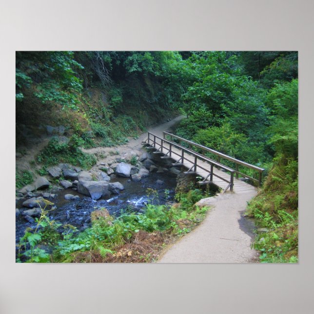 Affiche Bridge at Latourell Falls, Oregon (Devant)