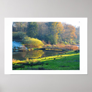 Affiche Bridge in the countryside