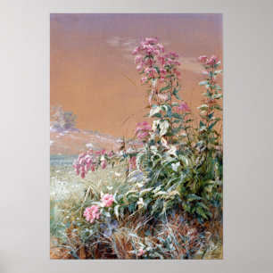 Affiche Bridges Fidelia sans titre