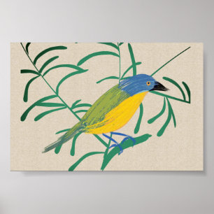 Affiche Bright African Bird Bush Shrike sur toile de lin
