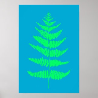 Affiche Bright Aqua Blue Fern Plante Imprimer l'affiche