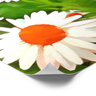 Affiche Bright Colorful Jardin blanc pâle marguerites v4b