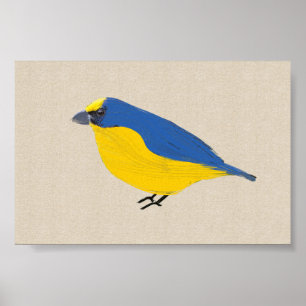 Affiche Bright Tropical Bird Euphonia sur toile lin