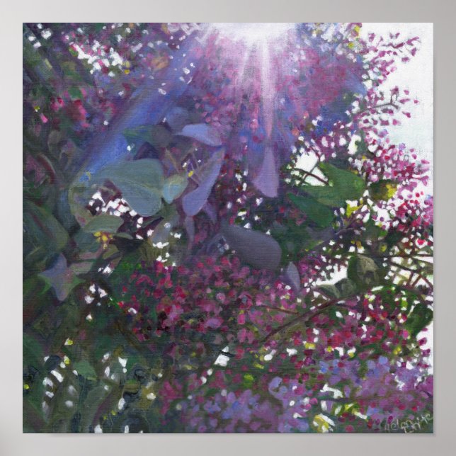 Affiche brillance 2014 (Devant)