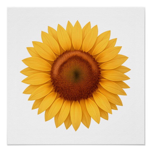 Affiche Brillant - Tournesol (Devant)
