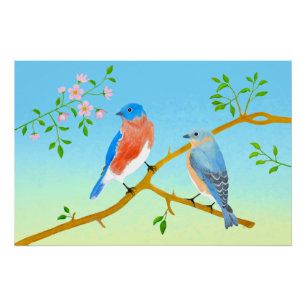 Affiche brillante des merles bleus
