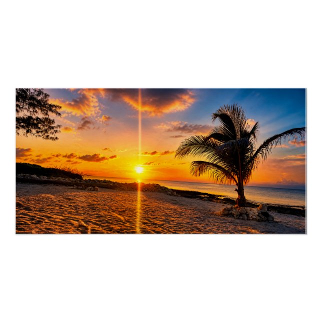 Affiche brillante Palmier Coucher de soleil des Ca (Devant)