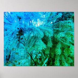 Affiche Brindilles d'arbre du sapin gélose glacée magique