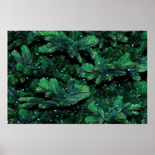 Affiche Brindilles de Noël