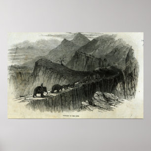 Affiche Bring sur les armes