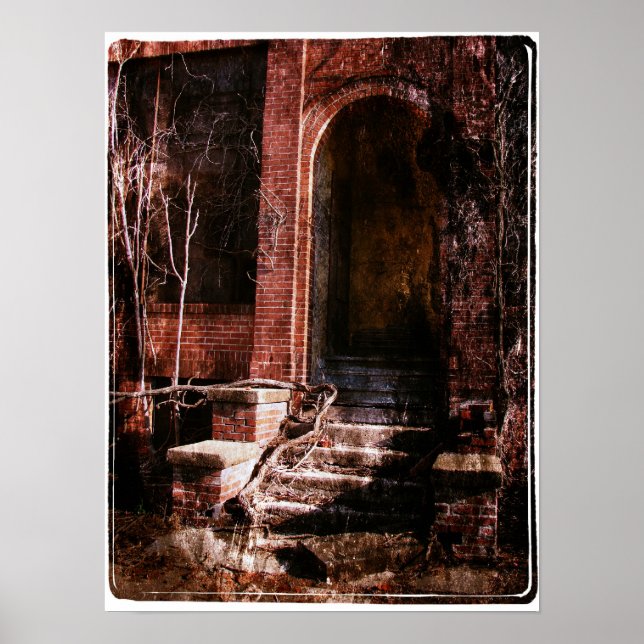 Affiche Briques et vignes abandonnées (Devant)