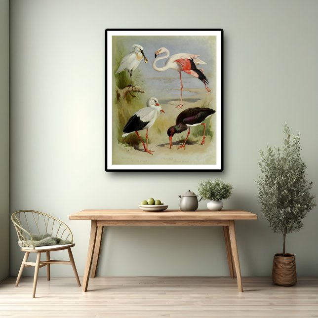 Affiche British Birds, Illustrations D'Art (Créateur téléchargé)