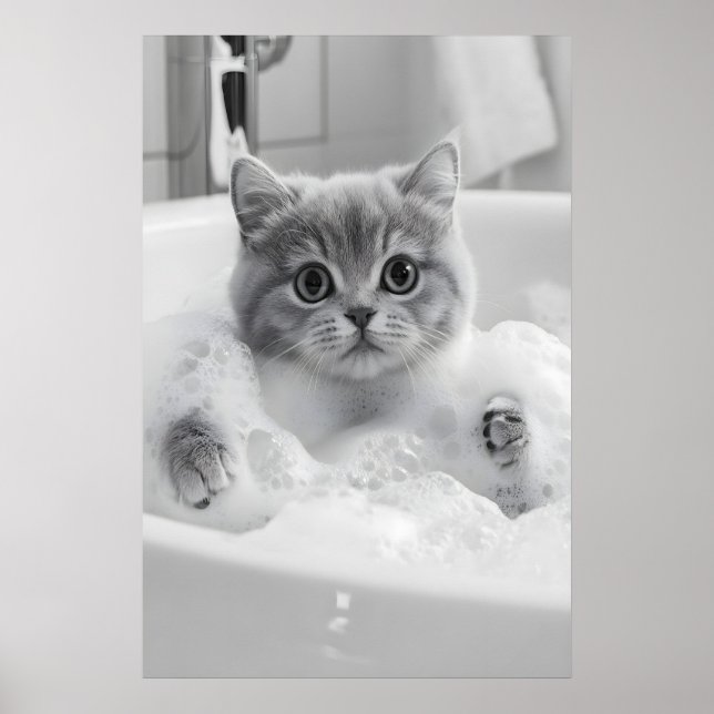 Affiche British Shorthair Cat Bath Print, Funny Bathroom (Devant)