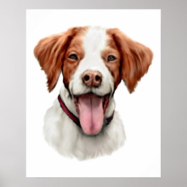 Affiche Brittany Bust (Devant)