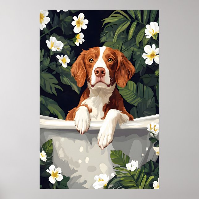 Affiche Brittany Spaniel In Bathtub Poster, Funny Dog (Devant)