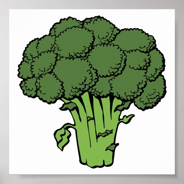 Affiche Broccoli vert (Devant)
