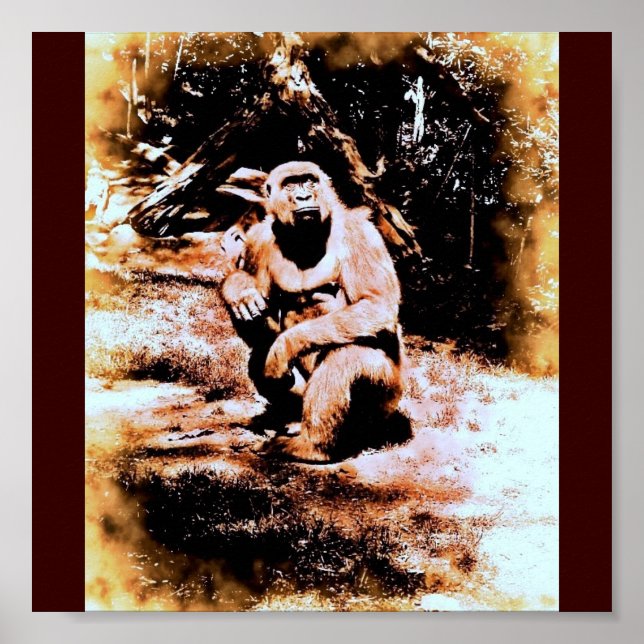 Affiche Bronx Gorilla (Devant)