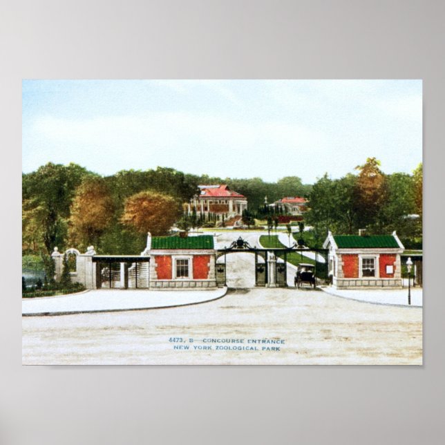 Affiche Bronx Zoo, New York Vintage (Devant)
