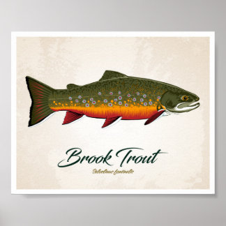 Affiche Brook Trout