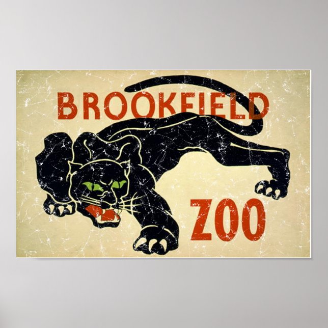 Affiche Brookfield Zoo-Panther en détresse (Devant)