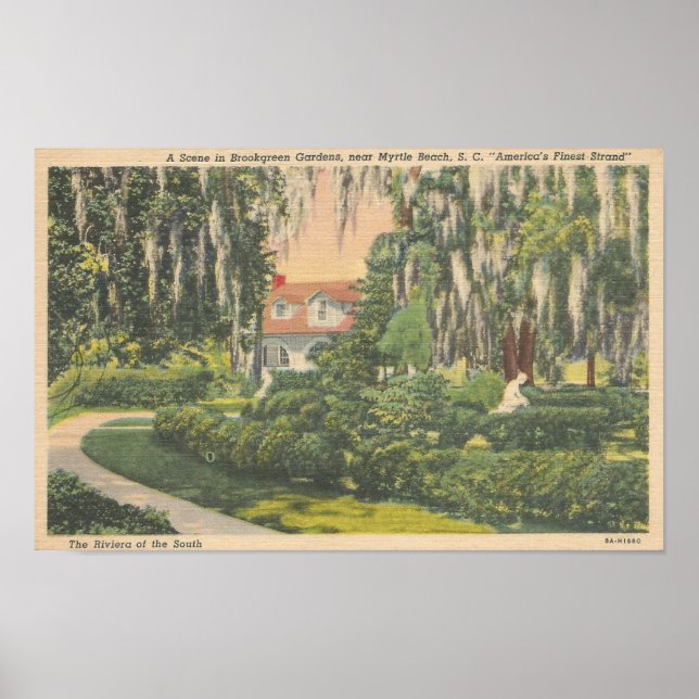 Affiche Brookgreen Gardens, Myrtle Beach, carte postale SC (Devant)