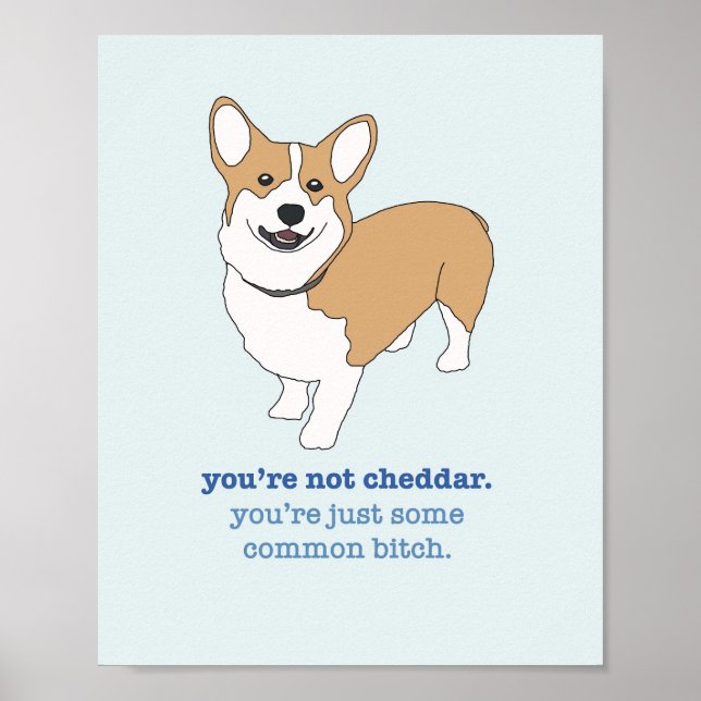 Affiche Brooklyn 99 Cheddar (Devant)