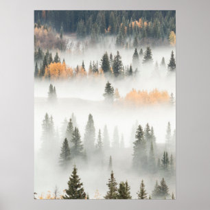 Affiche Brouillard à l'aube sur une forêt de montagne