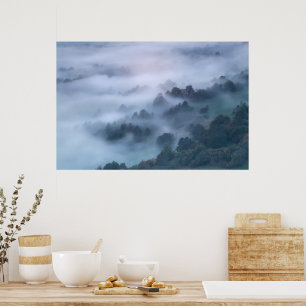 Affiche Brouillard du matin roulant à travers les arbres