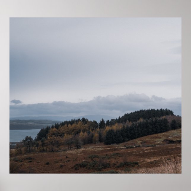 Affiche Brouillard matinal (Devant)