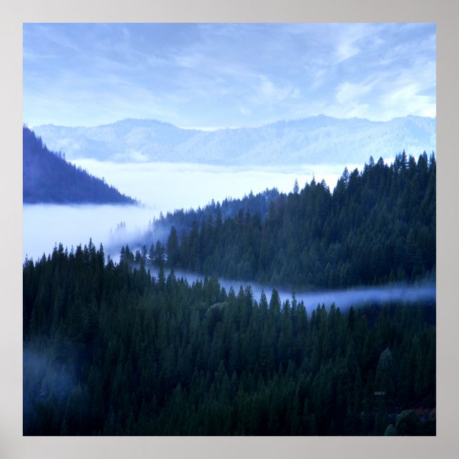 Affiche Brouillard matinal..... (Devant)