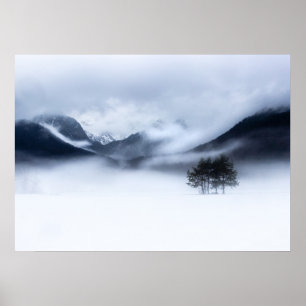 Affiche Brouillard, montagnes et arbre solitaire en hiver