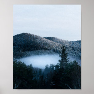 Affiche Brouillard mystérieux piégé dans une forêt de sapi