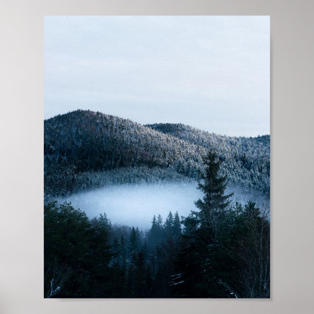 Affiche Brouillard mystérieux piégé dans une forêt de sapi (Devant)