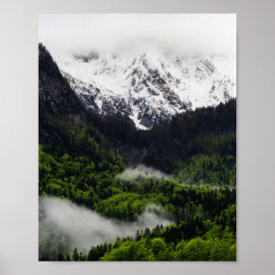 Affiche Brouillard roulant à travers la forêt sous les mon