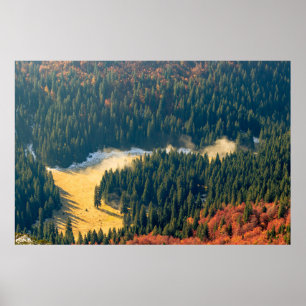 Affiche Brouillard roulant sur un champ d'automne solitair