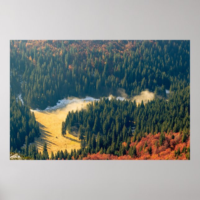 Affiche Brouillard roulant sur un champ d'automne solitair (Devant)