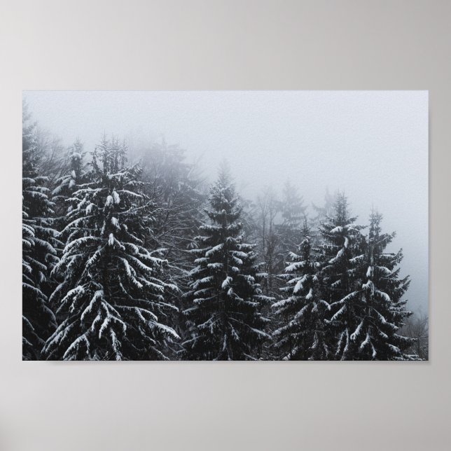 Affiche Brouillard sur la forêt d'épinette couverte de nei (Devant)