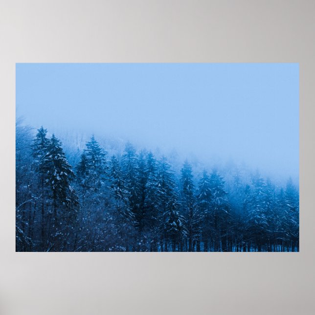 Affiche Brouillard sur la forêt enneigée au lac Bohinj, Sl (Devant)