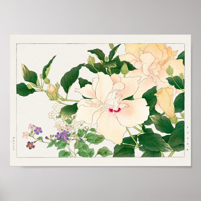 Affiche Browallia, Hibiscus par Tanigami Konan (Devant)