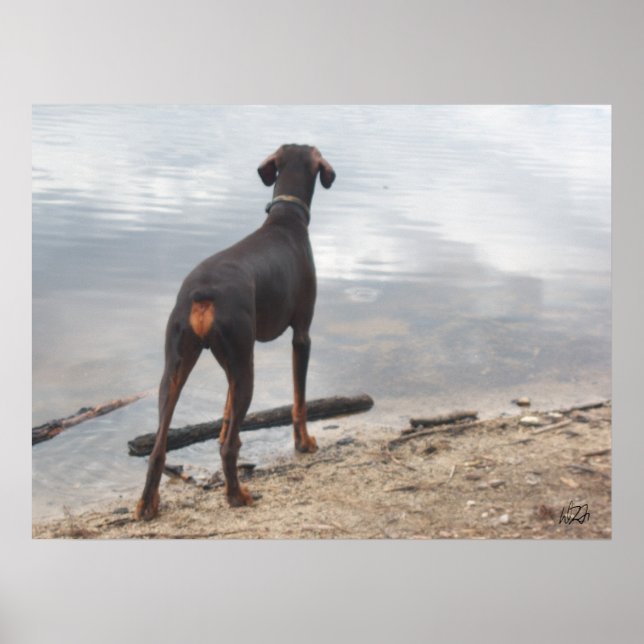 Affiche Brown, le Doberman (Devant)