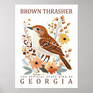 Affiche Brown Thrasher Bird of Georgia USA Travel